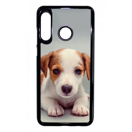 Angyali Jack Russel Terrier kis kutya Huawei tok