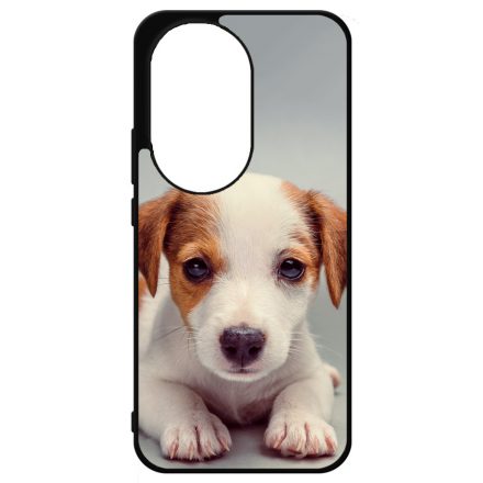 Angyali Jack Russel Terrier kis kutya Honor 200 tok