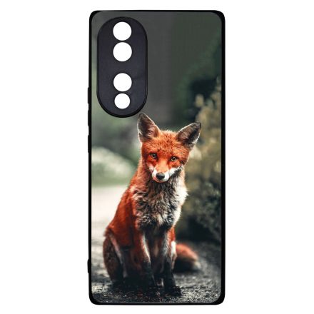 Autumn Fox őszi róka Honor 70 tok