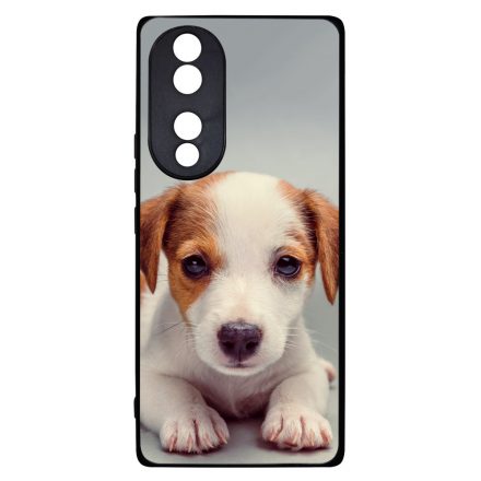 Angyali Jack Russel Terrier kis kutya Honor 70 tok