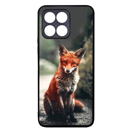 Autumn Fox őszi róka Honor 70 Lite tok