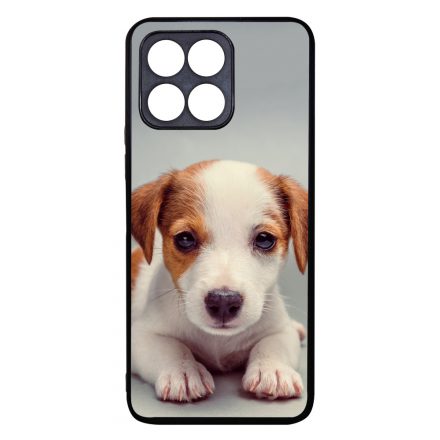 Angyali Jack Russel Terrier kis kutya Honor 70 Lite tok