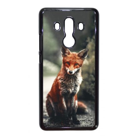 Autumn Fox őszi róka Huawei Mate 10 Pro tok