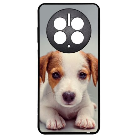 Angyali Jack Russel Terrier kis kutya Huawei Mate 50 Pro tok