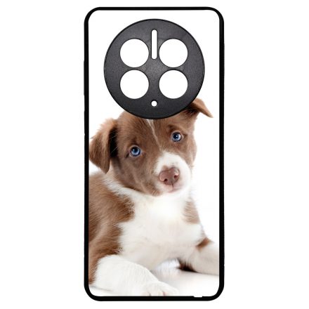 Édes Border Collie kölyök kutyus Huawei Mate 50 Pro tok