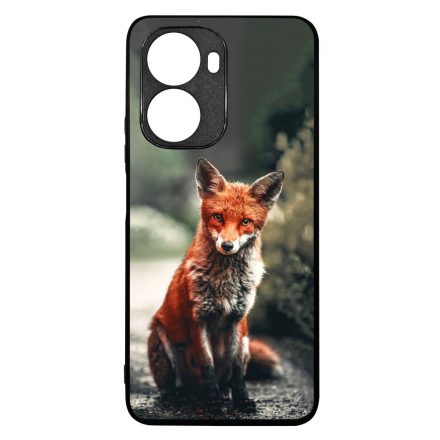 Autumn Fox őszi róka Huawei Nova 10 SE tok