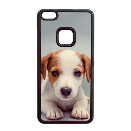 Angyali Jack Russel Terrier kis kutya Huawei P10 Lite tok