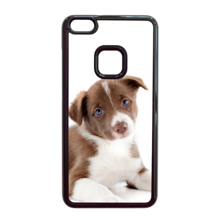 Édes Border Collie kölyök kutyus Huawei P10 Lite tok