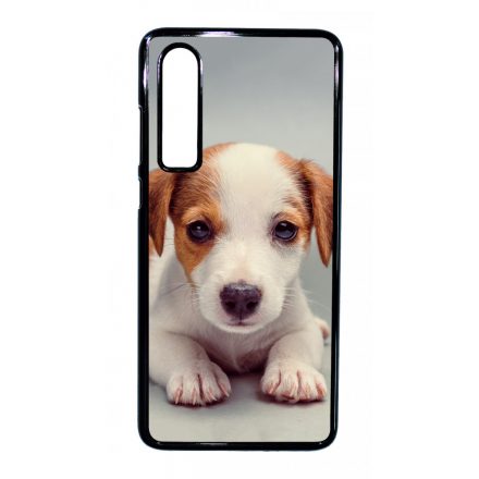 Angyali Jack Russel Terrier kis kutya Huawei P30 tok