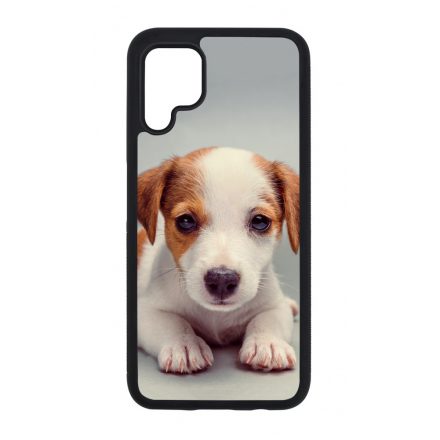 Angyali Jack Russel Terrier kis kutya Huawei P40 Lite tok