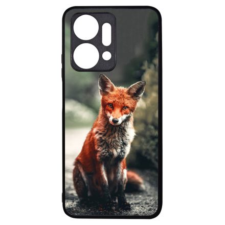 Autumn Fox őszi róka Honor X7a tok