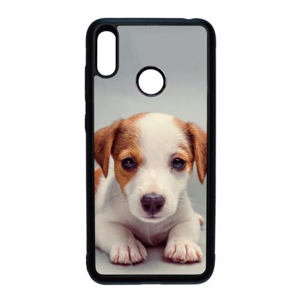 Angyali Jack Russel Terrier kis kutya Huawei Y7 2019 tok