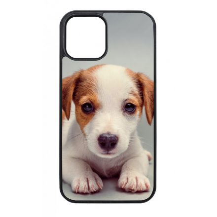 Angyali Jack Russel Terrier kis kutya iPhone 12 - 12 Pro tok