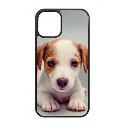 Angyali Jack Russel Terrier kis kutya iPhone 12 Mini tok