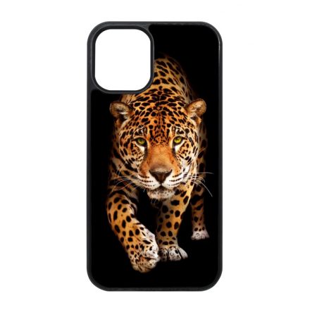 Wild Beauty Jaguar Wild Beauty Csajos Allat mintas iPhone 12 Mini tok