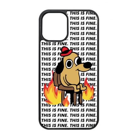 This is fine DOG kutyas meme iPhone 12 Mini tok