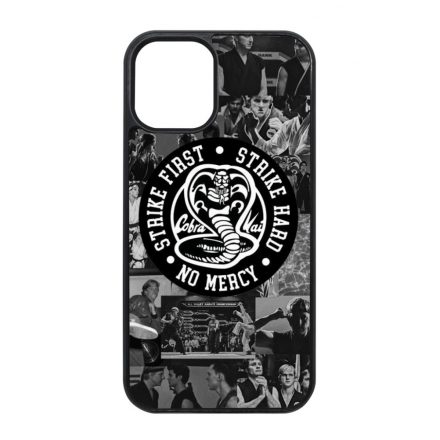 Old School Cobra Kai iPhone 12 Mini tok