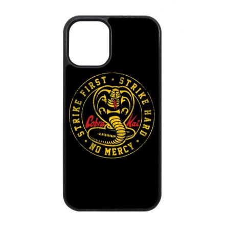 Grunge Cobra Kai Logo iPhone 12 Mini tok