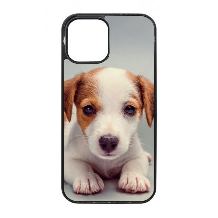 Angyali Jack Russel Terrier kis kutya iPhone 12 Pro Max tok