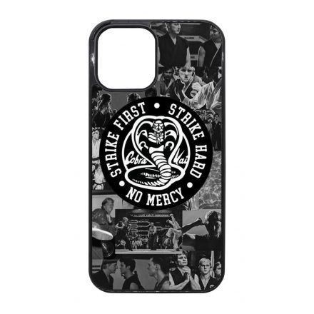 Old School Cobra Kai iPhone 12 Pro Max tok