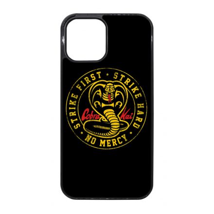 Grunge Cobra Kai Logo iPhone 12 Pro Max tok