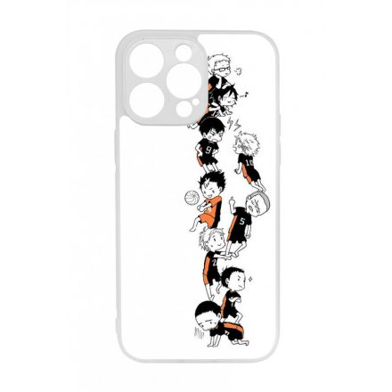 Cute Team Karasuno iPhone 14 Pro Max tok