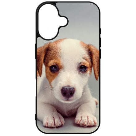 Angyali Jack Russel Terrier kis kutya iPhone 16 tok