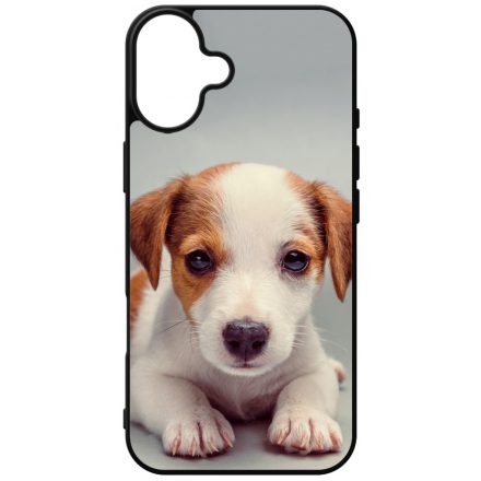 Angyali Jack Russel Terrier kis kutya iPhone 16 Plus tok