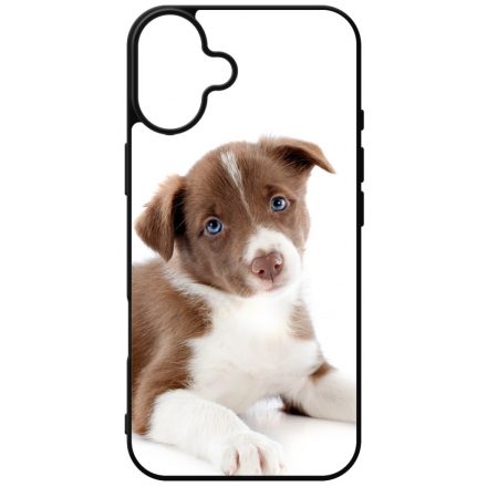 Édes Border Collie kölyök kutyus iPhone 16 Plus tok