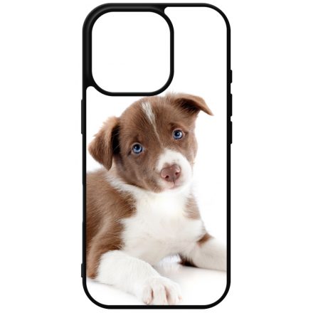 Édes Border Collie kölyök kutyus iPhone 16 Pro tok