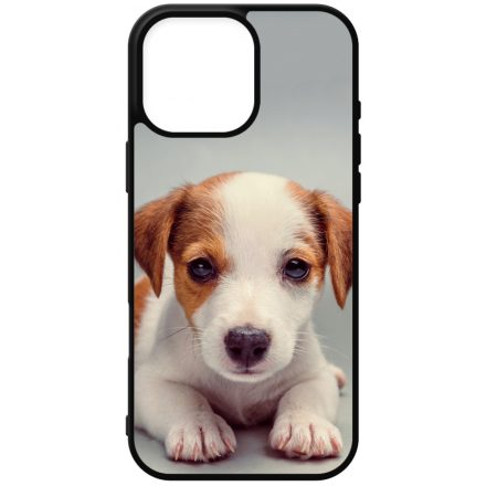 Angyali Jack Russel Terrier kis kutya iPhone 16 Pro Max tok