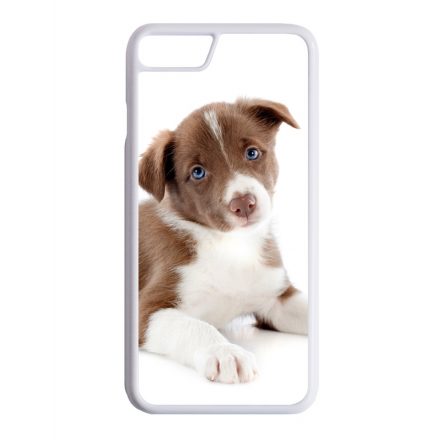 Édes Border Collie kölyök kutyus iPhone tok