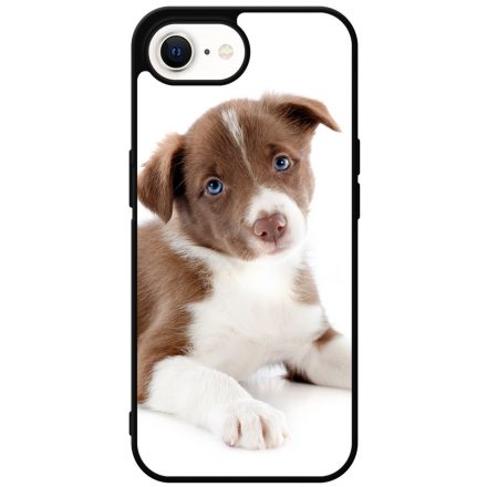 Édes Border Collie kölyök kutyus iPhone SE 4 tok