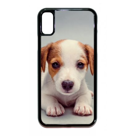 Angyali Jack Russel Terrier kis kutya iPhone X-Xs tok