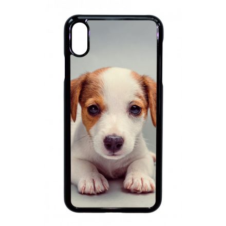 Angyali Jack Russel Terrier kis kutya iPhone Xs Max tok