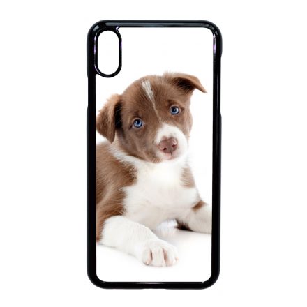 Édes Border Collie kölyök kutyus iPhone Xs Max tok