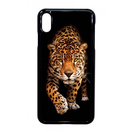 Wild Beauty Jaguar Wild Beauty Csajos Allat mintas iPhone Xs Max tok