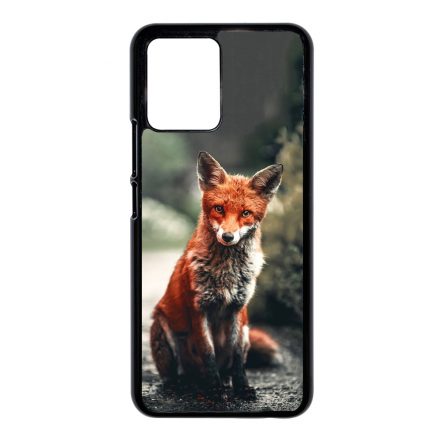 Autumn Fox őszi róka Realme 8i tok