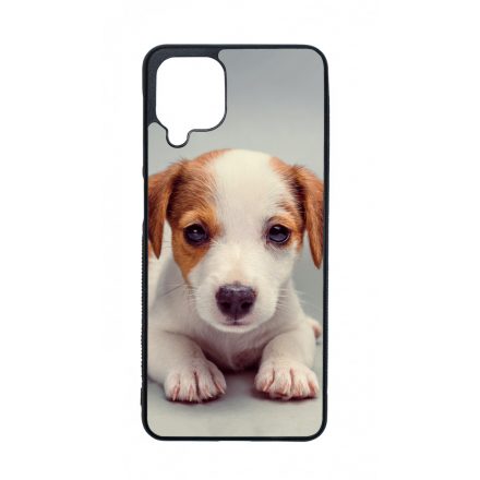 Angyali Jack Russel Terrier kis kutya Samsung Galaxy A12 tok