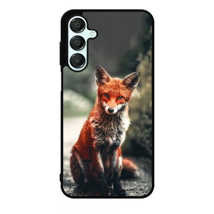 Autumn Fox őszi róka Samsung Galaxy A16 4G/5G tok