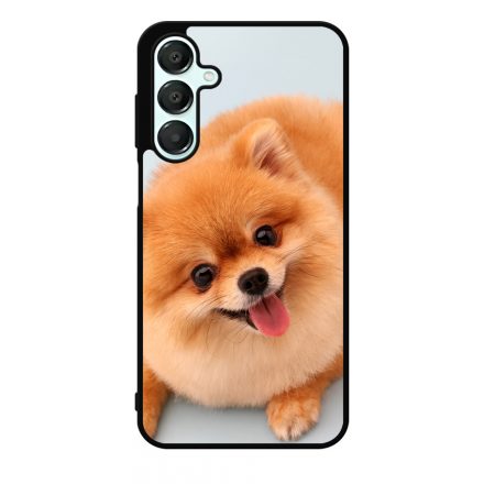 Pomerániai spitz - Akarsz játszani Samsung Galaxy A16 4G/5G tok