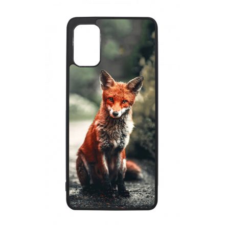 Autumn Fox őszi róka Samsung Galaxy A41 tok