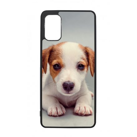 Angyali Jack Russel Terrier kis kutya Samsung Galaxy A41 tok