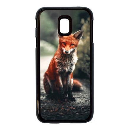 Autumn Fox őszi róka Samsung Galaxy J5 (2017) tok