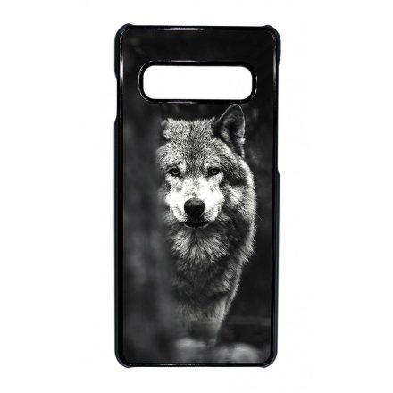 Az erdő farkasa wolf Samsung Galaxy S10 tok