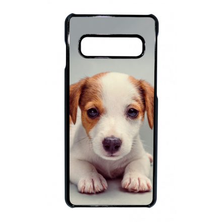 Angyali Jack Russel Terrier kis kutya Samsung Galaxy S10 tok