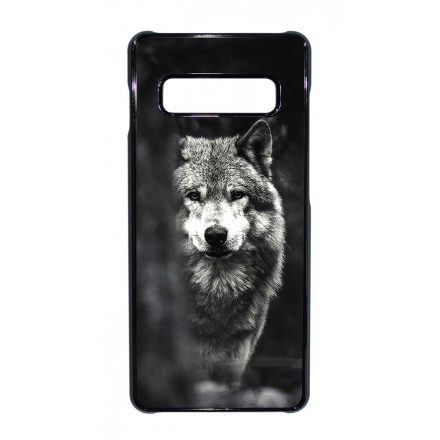 Az erdő farkasa wolf Samsung Galaxy S10 Plus tok