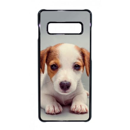 Angyali Jack Russel Terrier kis kutya Samsung Galaxy S10 Plus tok