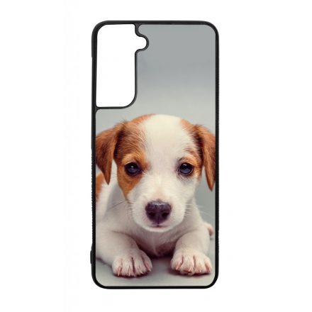 Angyali Jack Russel Terrier kis kutya Samsung Galaxy S21 tok