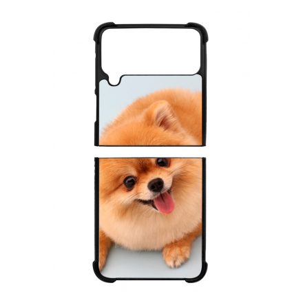 Pomerániai spitz - Akarsz játszani Samsung Galaxy Z Flip 3 5G tok